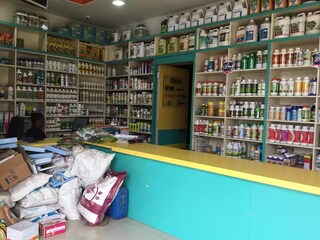 Sangali News Sangali News