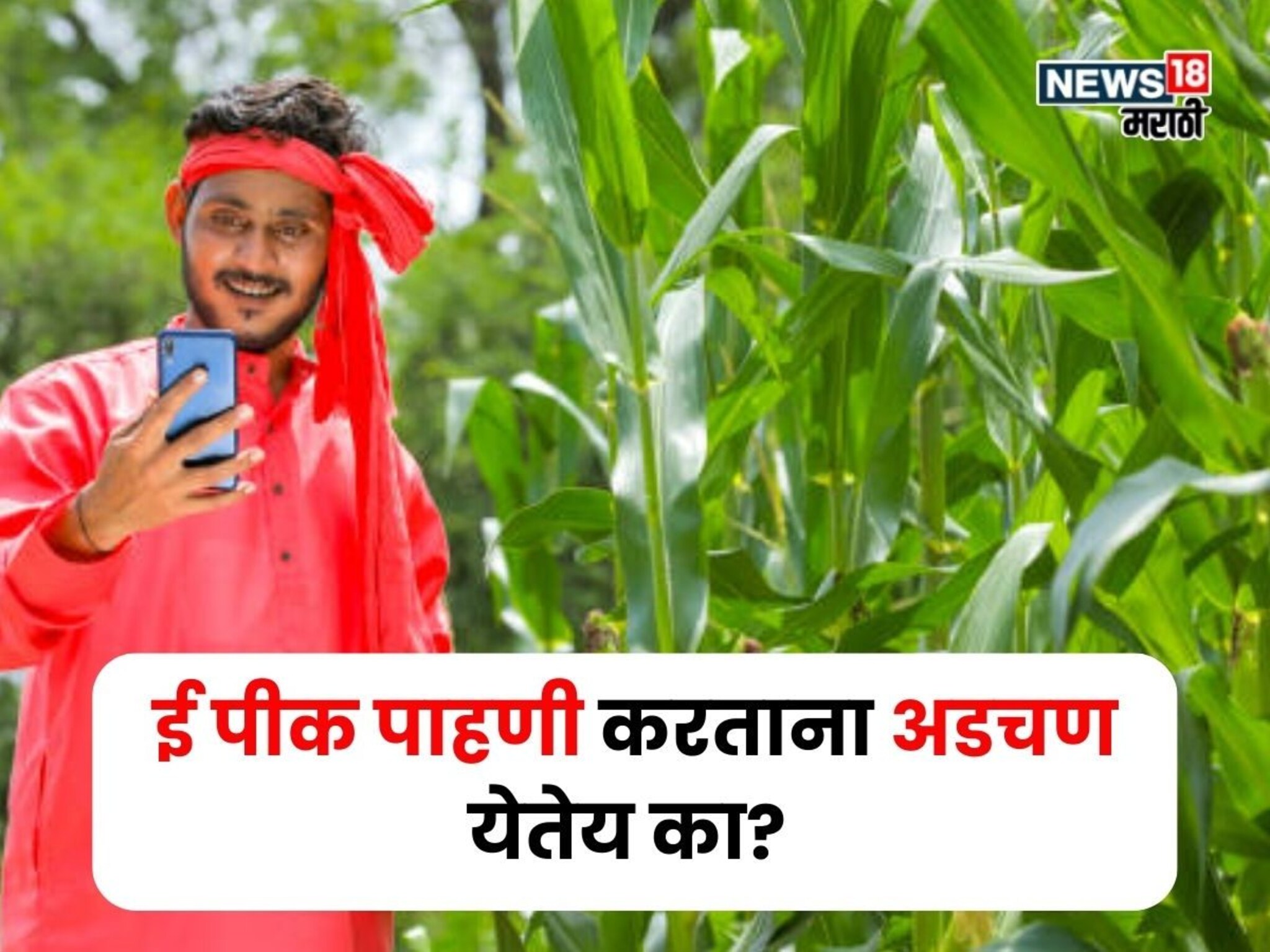 ई पीक पाहणी करताना अडचण येतेय का? तुमच्या मोबाईलमध्ये 2 गोष्टी तातडीने करून घ्या
