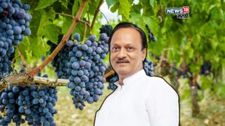Ajit Pawar On Farmer