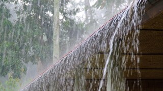 Kolhapur rain update Kolhapur rain update