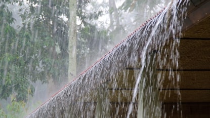 Kolhapur rain update Kolhapur rain update