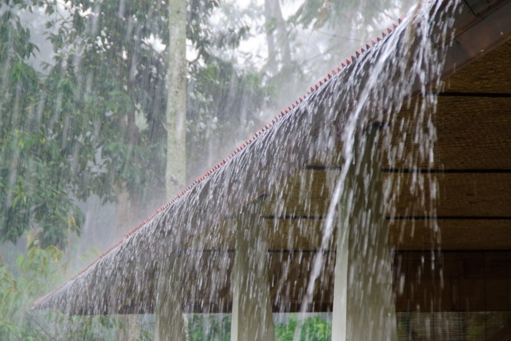 कोल्हापूरची चिंता वाढली! महापुराची भीती दूर झाली, पण पावसाची ओढ वाढली; कारण...