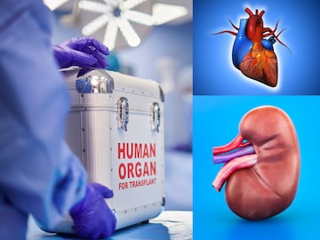 Satara News Satara News