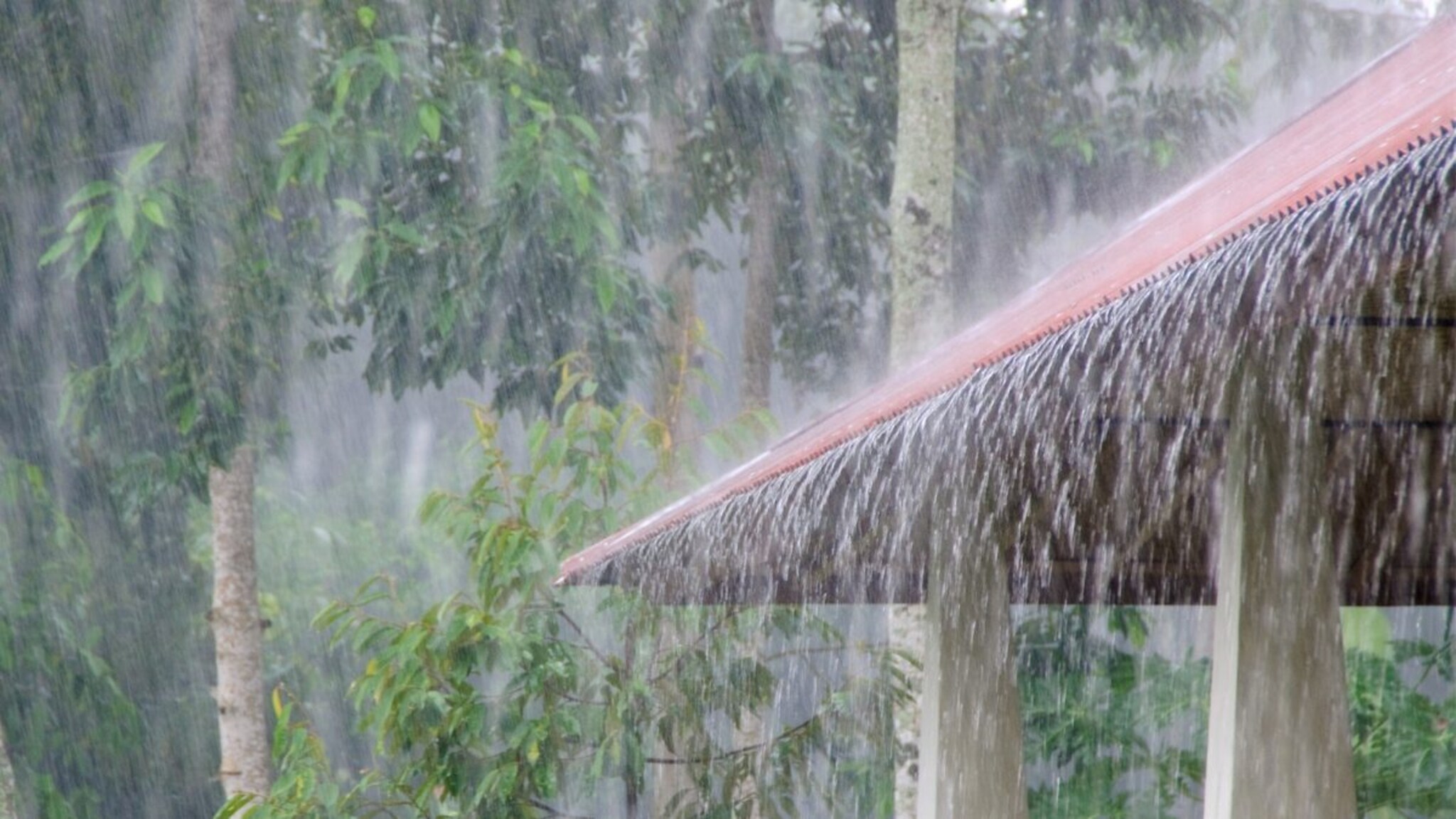 सातारा जिल्ह्यात पाऊस जोरदार! दोन महिन्यांतच 49% पाऊस, प्रमुख धरणे 86 टक्के भरली