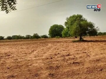 Agriculture News 