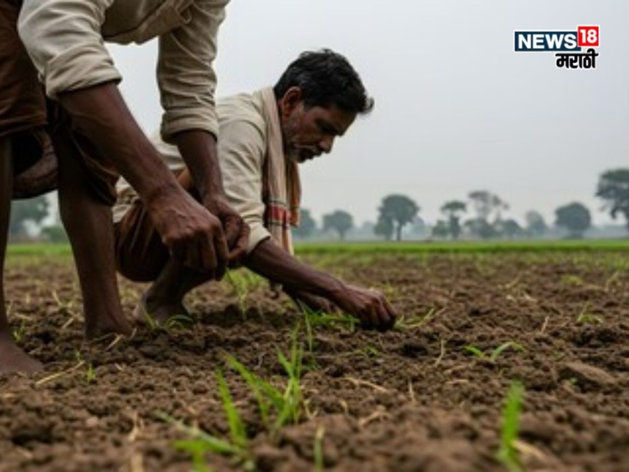 सातबारा उताऱ्यामध्ये 'या' नोंदी नसल्यास तुमच्या जमिनीवर जप्ती येणार,वाचा सविस्तर
