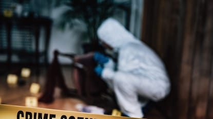 Crime News Crime News