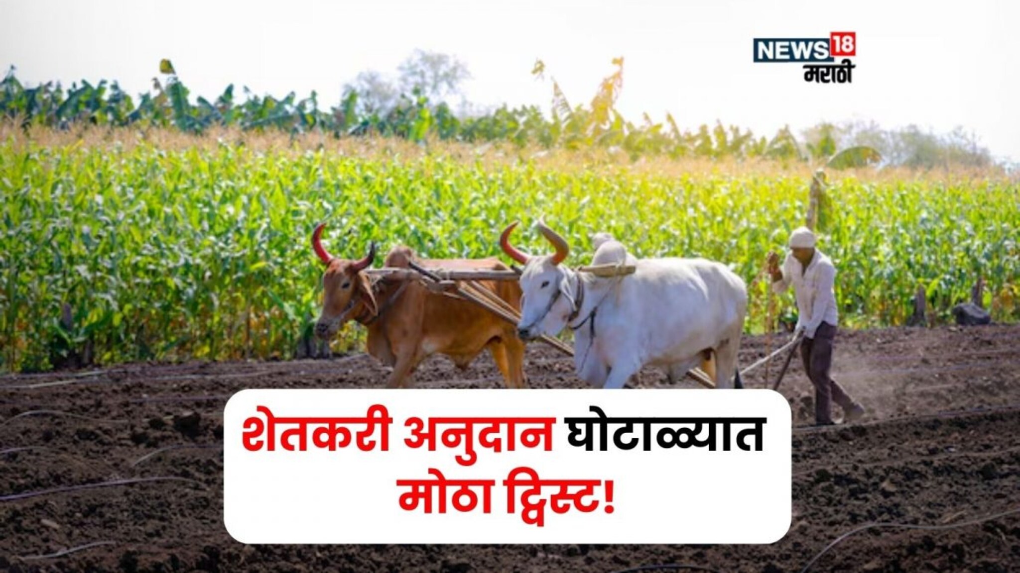 जालना शेतकरी अनुदान घोटाळ्यात मोठा ट्विस्ट!  पोलिसांना आता वेगळाच संशय