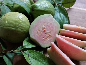 Health Tips: त्वचा अन् कोलेस्ट्रॉलसाठी पांढरा की पिंक, कोणता पेरू चांगला?