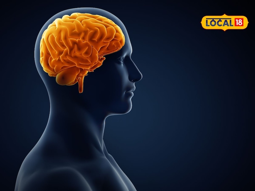 अक्रोडामध्ये मेंदूसाठी आवश्यक असलेले ओमेगा-3 फॅटी ॲसिड्स भरपूर प्रमाणात असतात. याशिवाय, दररोज रात्री झोपण्यापूर्वी हळदी टाकून कोमट दूध प्यायल्यास मेंदूची सूज कमी होते. हळदीमधील 'करक्यूमिन' हा घटक मेंदूच्या पेशींना सशक्त बनवतो.