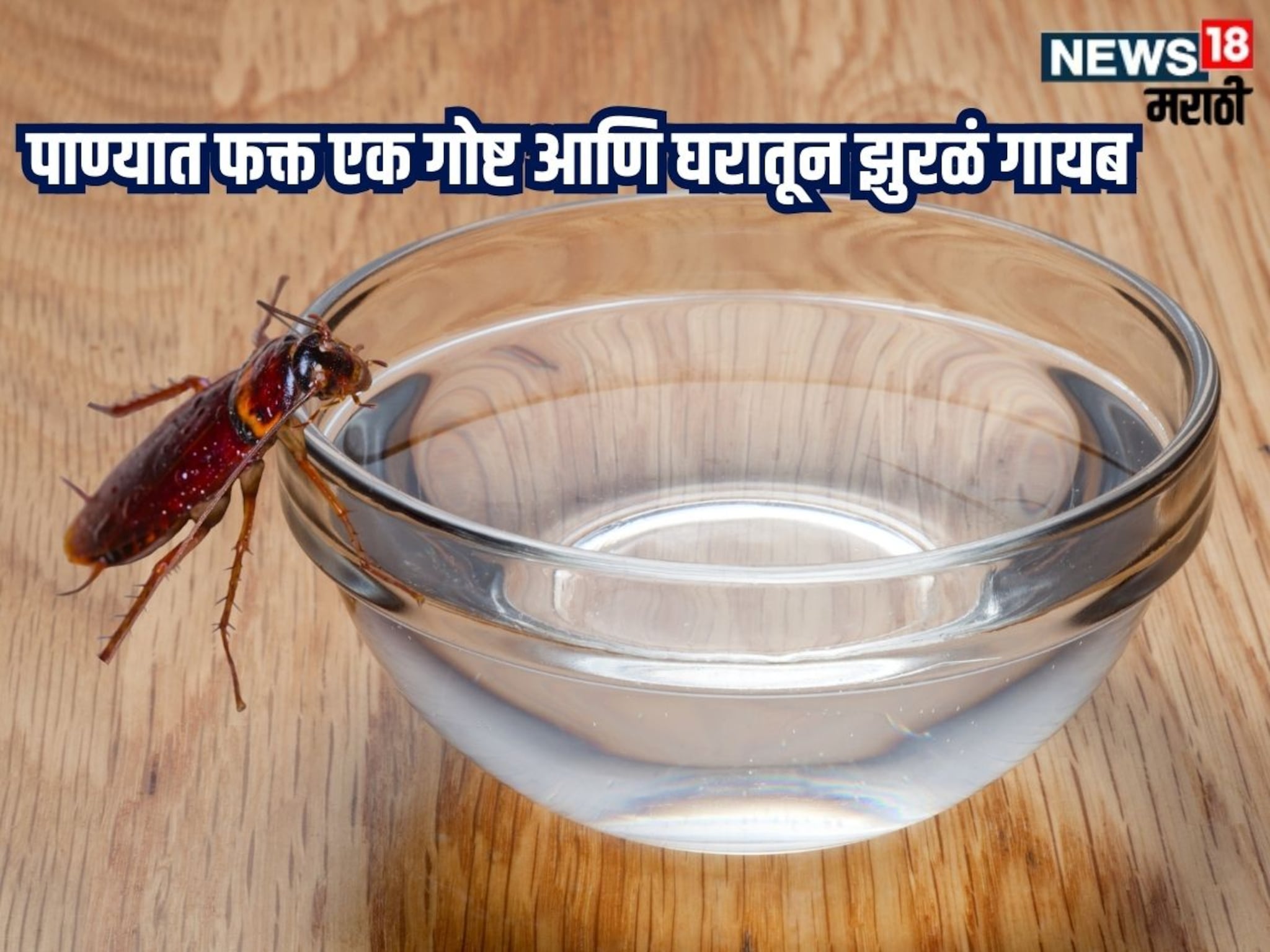 Kitchen Jugaad Video : पाण्यात फक्त हे टाकून ठेवा, आयुष्यभर घरात दिसणार नाही एकही झुरळ