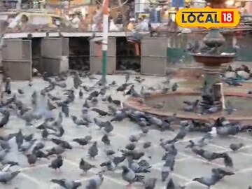 Dadar