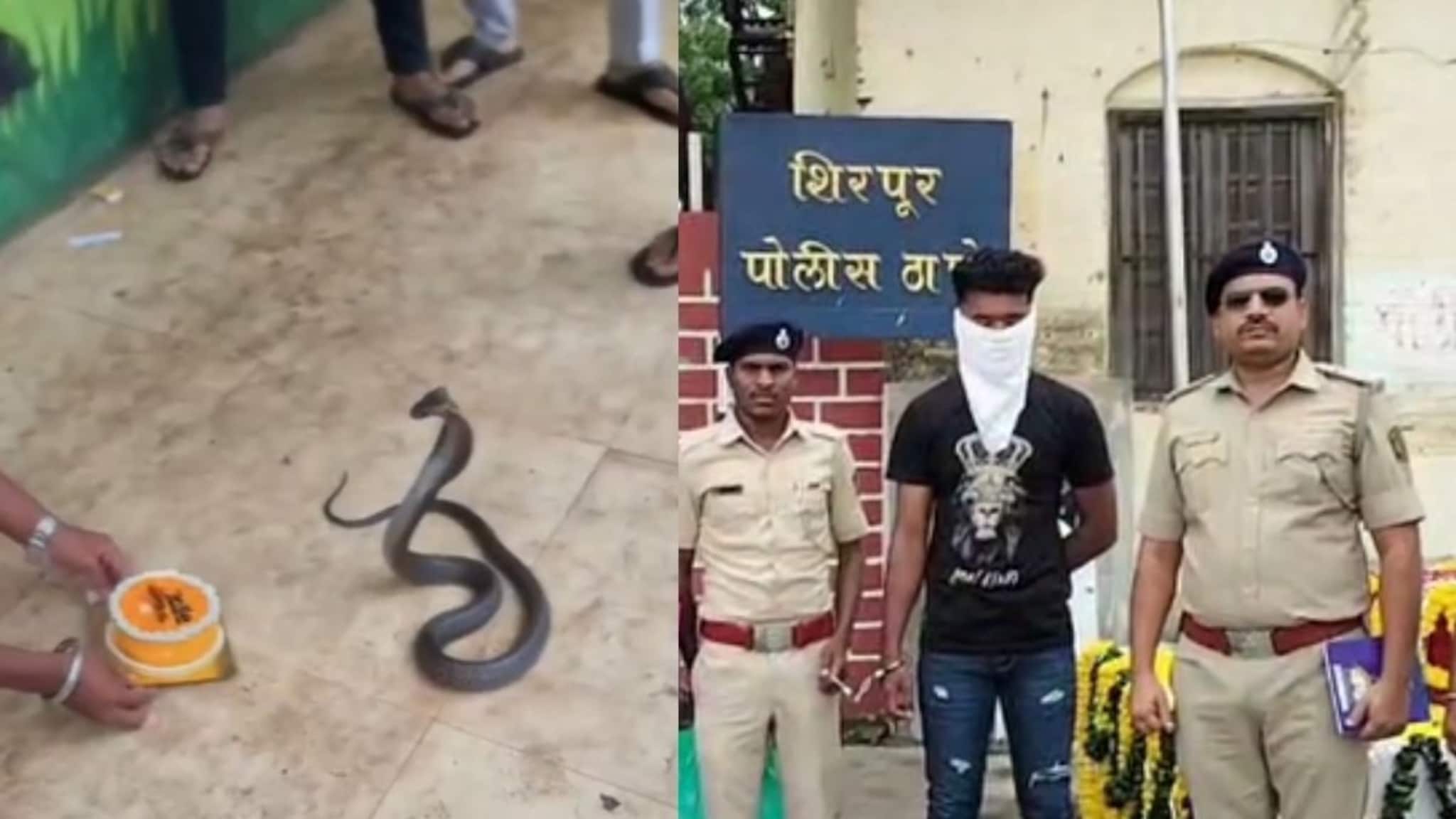 Dhule News : नागासोबत केक कापला, भरवला देखील...रिलस्टारला आता जेलमध्ये मिळणार 'बर्थडे पार्टी'