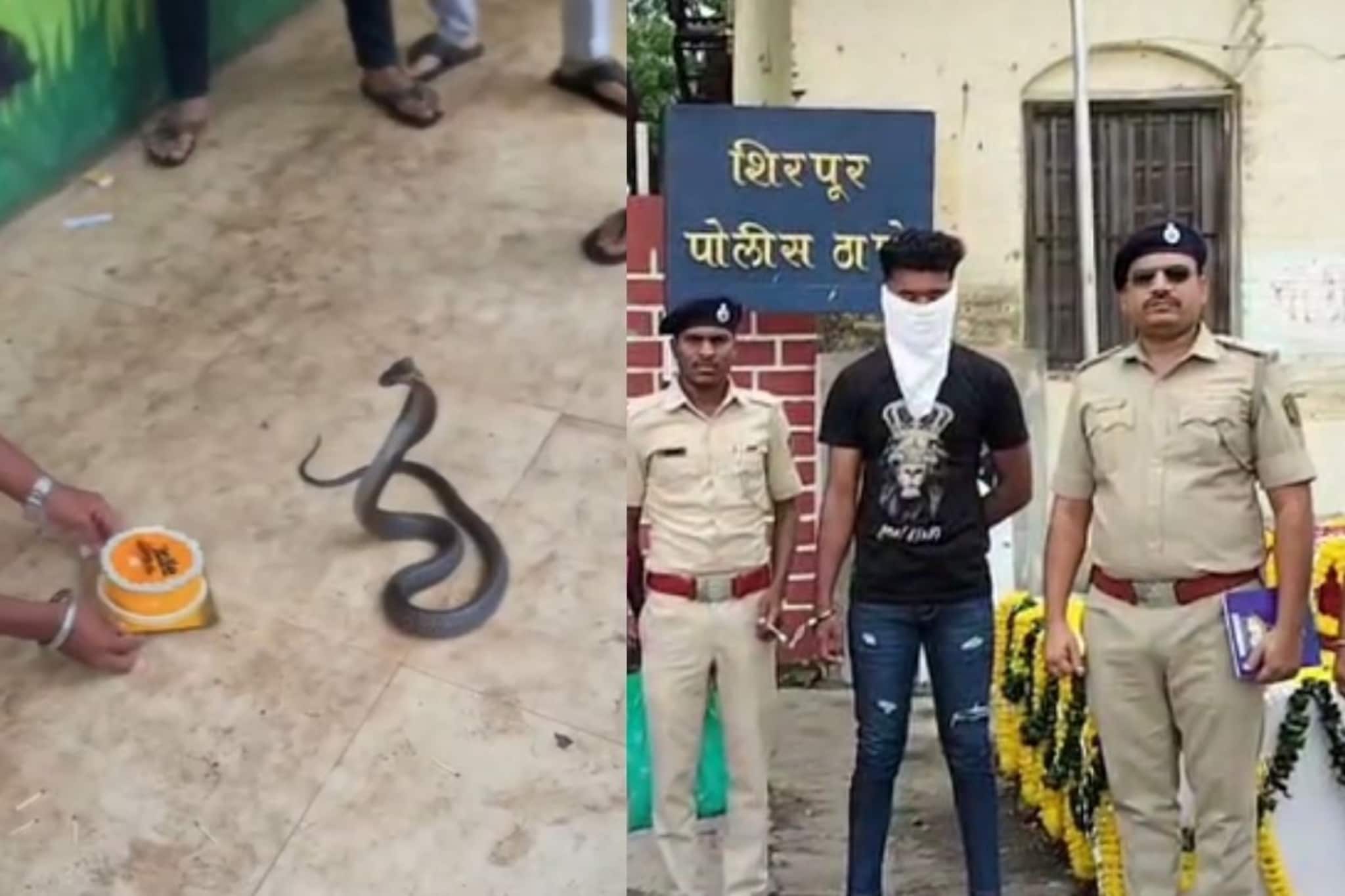 नागासोबत केक कापला, भरवला देखील...रिलस्टारला आता जेलमध्ये मिळणार 'बर्थडे पार्टी'