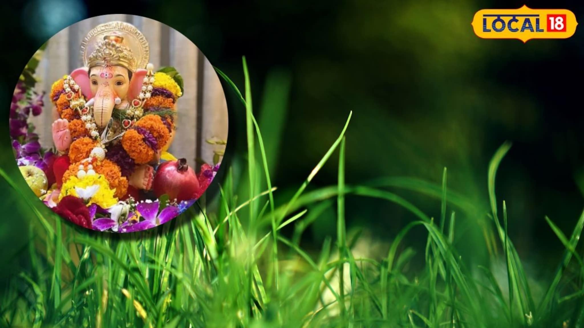 ‎Ganesh Chaturthi 2025: गणपती बाप्पाला दुर्वाच का वाहतात?  हे आहे खरं कारण