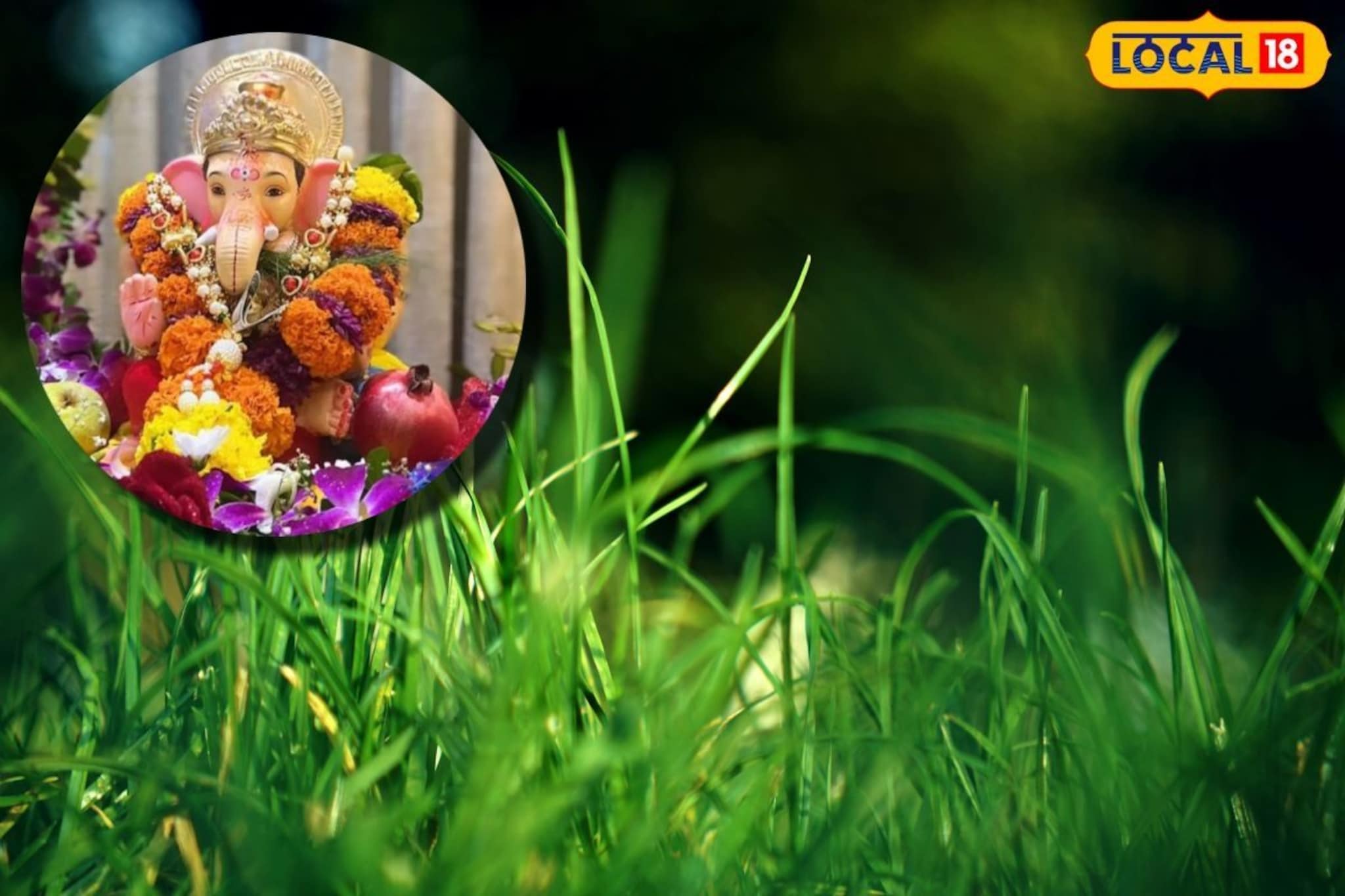 ‎Ganesh Chaturthi 2025: गणपती बाप्पाला दुर्वाच का वाहतात?  हे आहे खरं कारण