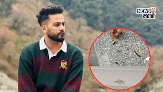 एल्विश यादवच्या घरावर कोणी आणि का केला गोळीबार? 