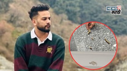 एल्विश यादवच्या घरावर कोणी आणि का केला गोळीबार? एल्विश यादवच्या घरावर कोणी आणि का केला गोळीबार?