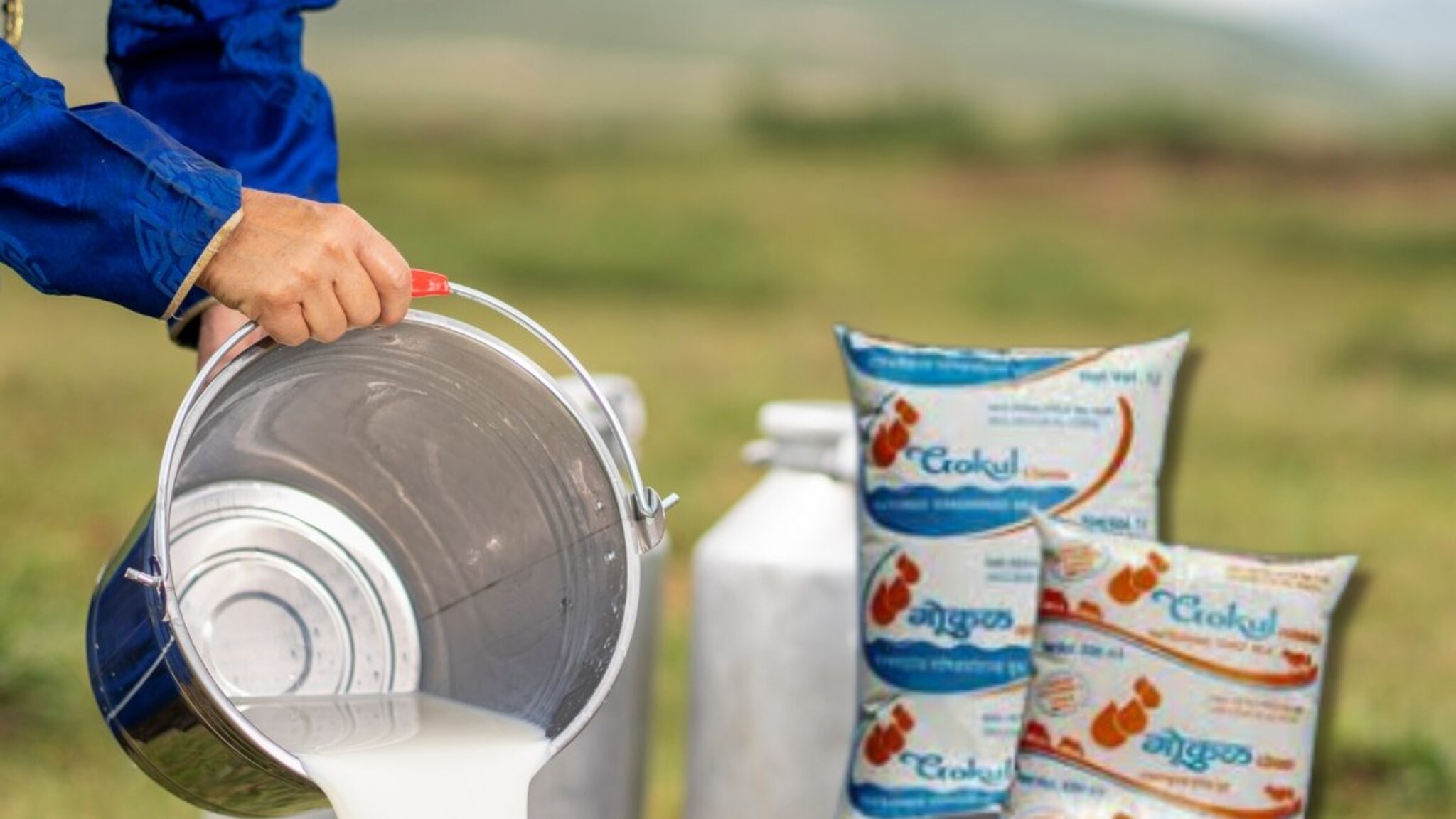 'गोकुळ'चं दूध 1 रुपयाने महागलं! दूध उत्पादकांना मिळणार 'इतके' कोटी; कधीपासून...