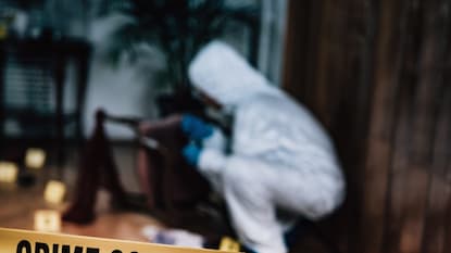 Crime News Crime News