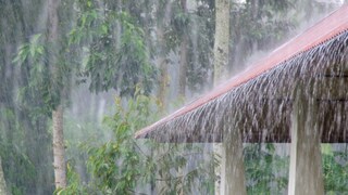 Kolhapur Rain Update Kolhapur Rain Update