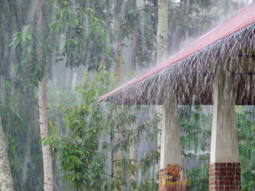 अकोला, गोंदिया, चंद्रपूर, गडचिरोली या जिल्ह्यांमध्ये काही ठिकाणी हलक्या स्वरूपाचा पाऊस होण्याची शक्यता आहे. विदर्भ आणि मराठवाड्यासाठी 48 तास महत्त्वाचे असणार आहेत. वादळी वारे, मेघगर्जनेसह पावसाचा अंदाज व्यक्त करण्यात आला आहे. 