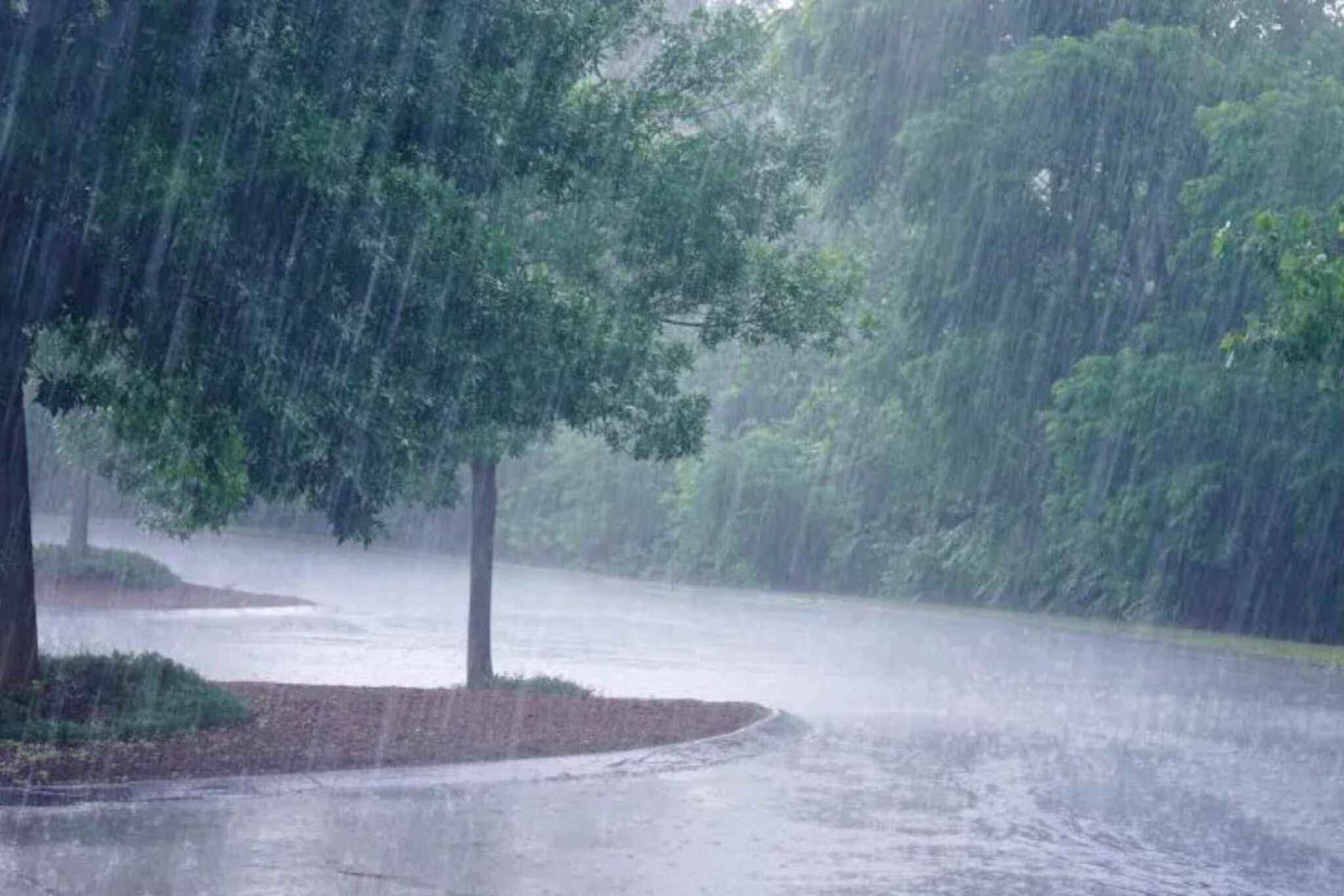 उद्यापासून पुन्हा दम'धार'! सासवा गेल्या आता सूनांचा पाऊस; वाहन म्हैस असल्यानं...