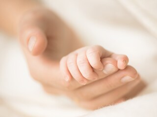 Chhatrapati Sambhajinagar News Chhatrapati Sambhajinagar News