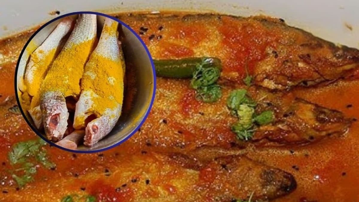 Marathi Fish Fish Tips : डायबेटिस, बीपी कंट्रोल करणारा मासा! बाजारात दिसला तर सोडू ...
