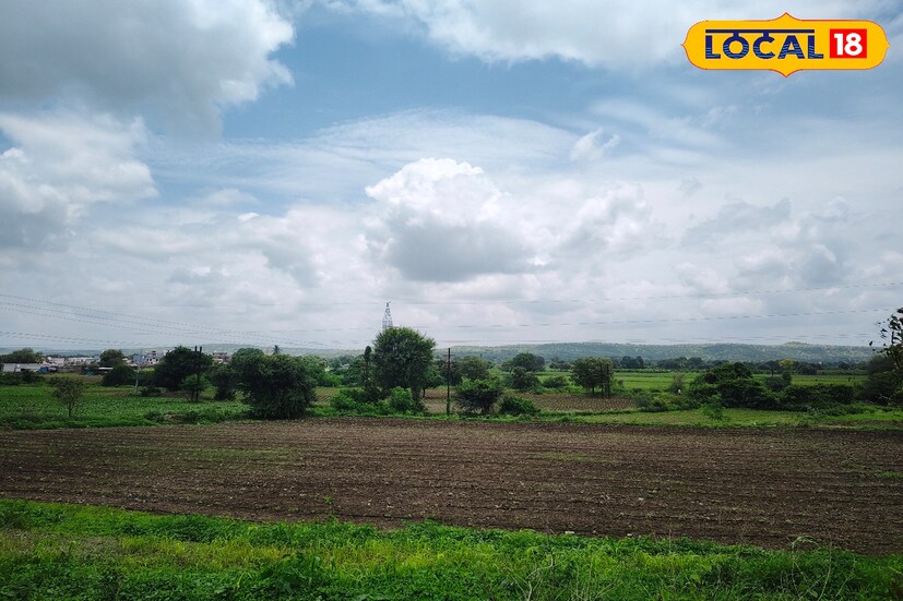 मराठवाड्यातील आठही जिल्ह्यांमध्ये श्रावणधारा बरसण्याची शक्यता आहे. मात्र आज कोणत्याही जिल्ह्याला 'सतर्कतेचा आणि खबरदारीचा अलर्ट' हवामान विभागाकडून जारी करण्यात आलेला नाही. हवामानात काही महत्त्वाचे बदल जाणवत असल्याने छत्रपती संभाजीनगर जिल्ह्यात ढगाळ वातावरण तसेच रिमझिम पावसाची शक्&#x200d;यता आहे.