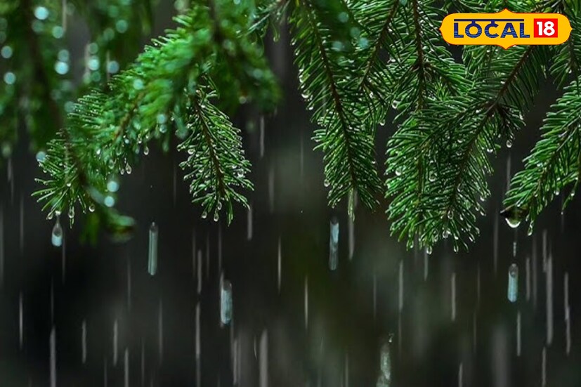 छत्रपती संभाजीनगरसह जालना, परभणी, बीड, हिंगोली या पाच जिल्ह्यात आज ढगाळ वातावरण राहण्याची शक्यता आहे. यावेळी हलक्&#x200d;या पावसाच्या सरी पडू शकतात. तसेच नांदेड, लातूर आणि धाराशिव या तीन जिल्ह्यात हलका पाऊस आणि विजांचा कडकडाट आणि ढगांचा गडगडाट होण्याचीही शक्यता आहे.