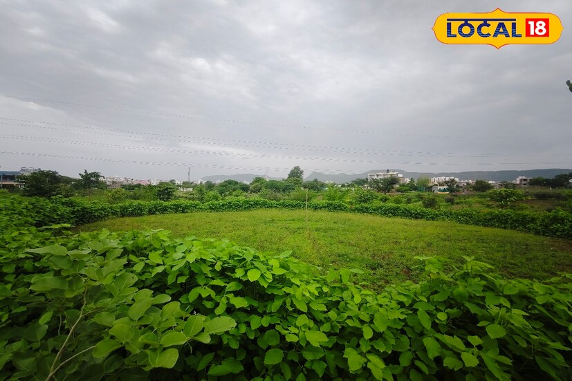 गेल्या काही दिवसांत मराठवाड्यात अनेक भागांत दमदार पावसाने हजेरी लावली होती. आता मात्र हवामानात काही महत्त्वाचे बदल जाणवत असल्याने सध्या पावसाचा जोर काहीसा कमी झाल्याचे चित्र आहे. त्यामुळे अनेक भागात पावसाने विश्रांती घेतल्याचे तर काही भागात हलक्या पावसाचे वातावरण आहे. शेतकऱ्यांनी पिकाची आणि नागरिकांनी आपल्या आरोग्याची काळजी घेणे गरजेचे आहे.