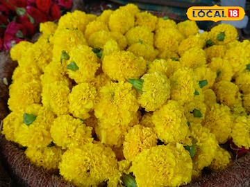 Flower Flower