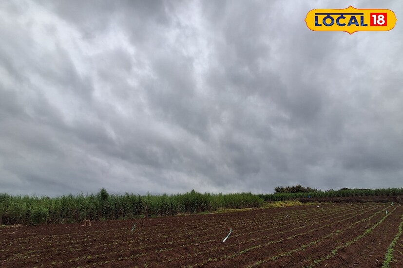 सोलापूर जिल्हात मागील 24 तासात पावसाची उघडीप राहिली. आता मात्र हवामानात मोठे बदल जाणवण्याची शक्यता आहे. आजपासून पुढील काही दिवस वादळी वाऱ्यांसह जोरदार पावसाची शक्यता आहे. विजांसह पावसाची शक्यता असल्याने हवामान विभागाने सतर्कतेचा यलो अलर्ट दिला आहे.