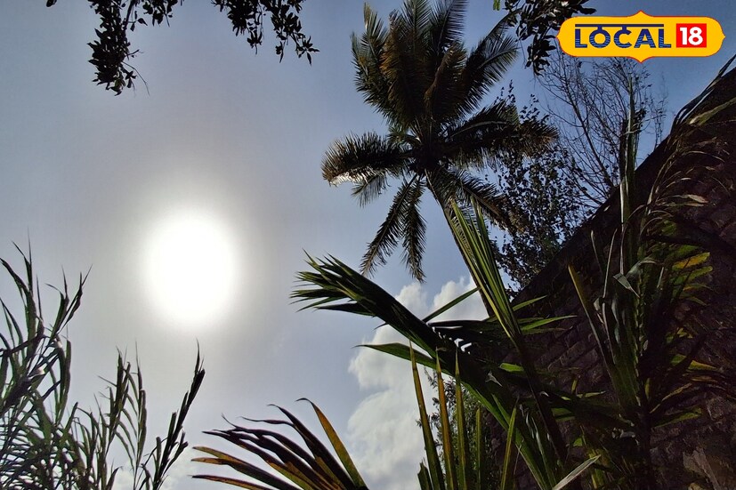 सातारा जिल्ह्यात गेल्या 24 तासात पावसाची उघडीप कायम होती. पुढील 24 तासात साताऱ्यातील कमाल तापमान 30 अंश सेल्सिअस राहील. तसेच ढगांच्या गडगडाटासह एक दोन वेळा हलक्या पावसाची शक्यता हवामान विभागाने वर्तवली आहे. 