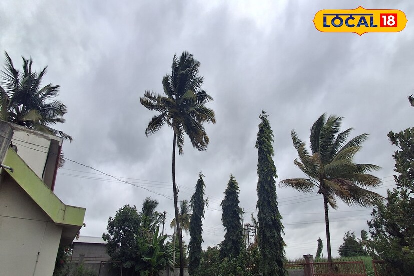 कोल्हापूर जिल्ह्यात मागील 24 तासात शून्य मिलीमीटर पावसाची नोंद झाली. यावेळी कमाल तापमान 29.9 अंश सेल्सिअस राहिले. पुढील 24 तासात कमाल तापमान 28 अंशावर राहील. कोल्हापूर जिल्ह्यात विजांच्या गडगडाटासह एक-दोन वेळा तुरळक पाऊस पडेल. 