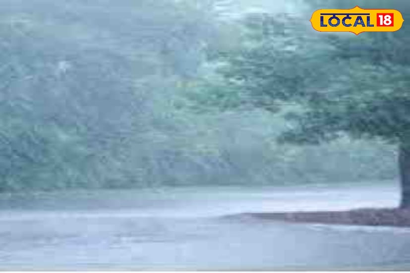 राज्यात काही दिवसांपासून पावसाने विश्रांती घेतलेल्या मान्सूनने पुन्हा मुसळधार सुरुवात केली आहे. विशेषतः मराठवाडा आणि विदर्भ भागात हवामानात बदल होत असून ढगाळ वातावरणासह पावसाची स्थिती निर्माण झाली आहे. मराठवाड्यात आज 5 जिल्ह्यांना वादळी वाऱ्यांसह पवसाचा यलो अलर्ट देण्यात आला आहे. 