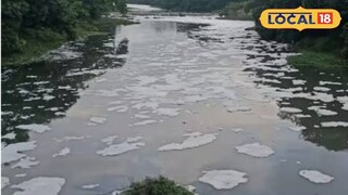 Pimpri Chinchwad: जीवनदायिनी झाली विष वाहिनी! पिंपरी-चिंचवडमधून धक्कादायक बातमी, पवना अन् इंद्रायणी...