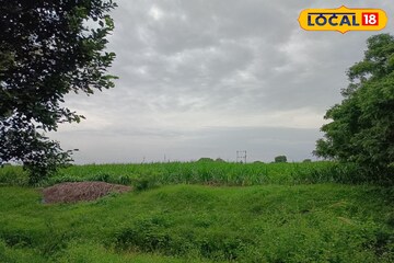 शनिवारी धो धो कोसळणार, मराठवाड्यातील 6 जिल्ह्यांना यलो अलर्ट, आजचा हवामान अंदाज शनिवारी धो धो कोसळणार, मराठवाड्यातील 6 जिल्ह्यांना यलो अलर्ट, आजचा हवामान अंदाज