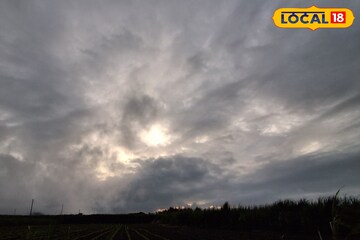 रक्षाबंधनच्या दिवशी पश्चिम महाराष्ट्रात जोरदार पाऊस, IMD चा 5 जिल्ह्यांना अलर्ट