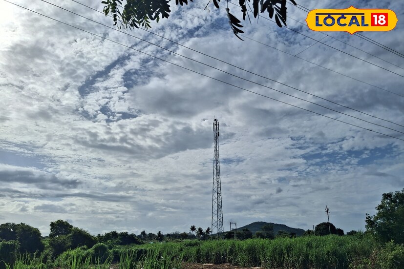 सोलापूर जिल्हात मागील 24 तासात 13 मिलिमीटर पावसाची नोंद झाली. तसेच 28.4 अंश सेल्सिअस कमाल तापमानाची नोंद झाली. पुढील 24 तासात कमाल तापमान 28 अंशावर राहिल. पुढील 24 तासात सोलापूर जिल्ह्यात विजांसह पावसाची शक्यता असल्याने सतर्कतेचा यलो अलर्ट जारी केला आहे.