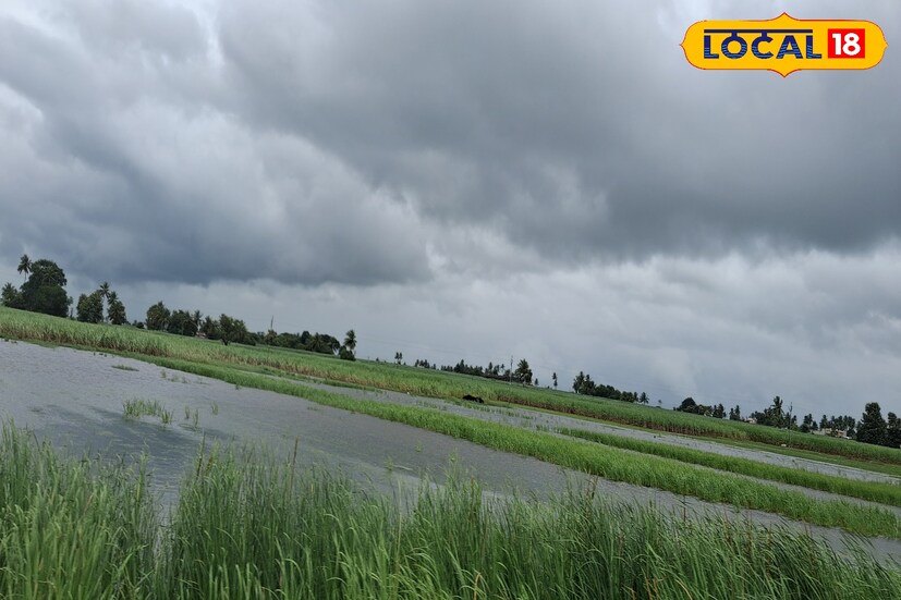 सातारा जिल्ह्यात मागील 24 तासात पावसाची उघडीप राहिली. पुढील 24 तासात साताऱ्यातील कमाल तापमान 29 अंश सेल्सिअस राहिल. तसेच पुढील 24 तासांसाठी सातारा जिल्ह्यात सतर्कतेचा यलो अलर्ट भारतीय हवामान विभागाने दिला आहे. यावेळी विजांच्या कडकडाटात हलक्या पावसाची शक्यता आहे. 