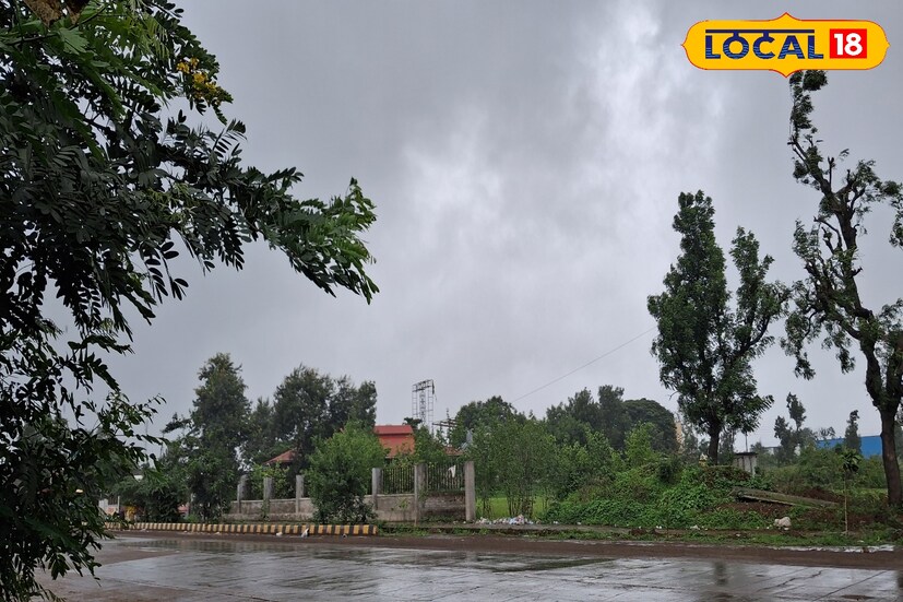 मागील 24 तासात सांगली जिल्ह्यामध्ये 2 मिलीमीटर पावसाची नोंद झाली. पुढील 24 तासात विजांचा कडकडाटासह ताशी 30 ते 40 किलोमीटर जोरदार वारे आणि मध्यम पावसाची शक्यता आहे. यावेळी जिल्ह्यातील कमाल तापमान 29 तर कमान तापमान 21 अंश सेल्सिअस इतके राहील. 