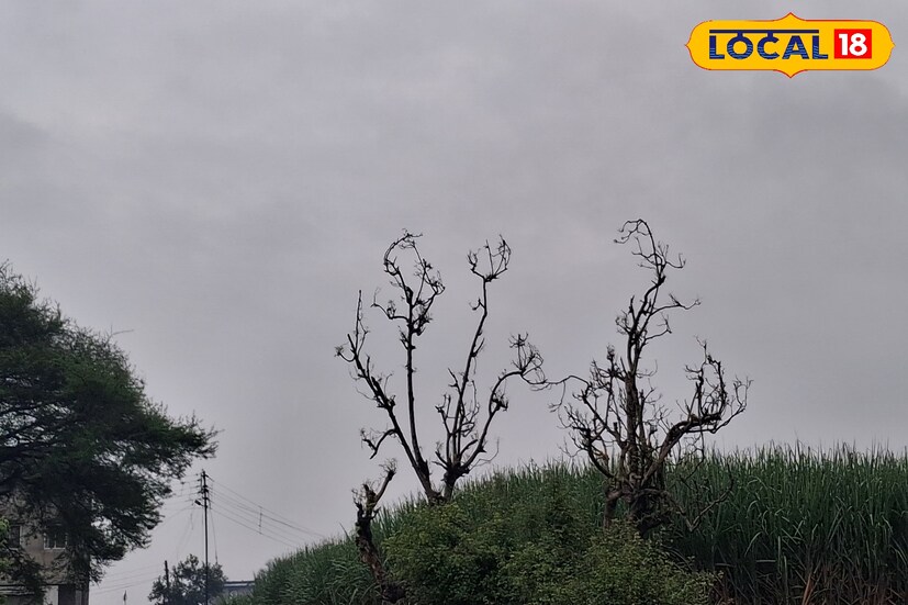 पुणे जिल्ह्यात शिवाजीनगर परिसरात मागील 24 तासात 1.2 मिलिमीटर पावसाची नोंद झाली. तसेच कमाल तापमानाचा पारा 29.2 अंश सेल्सिअसवर राहिला. पुढील 24 तासात संपूर्ण पुणे जिल्ह्यात विजांसह हलक्या पावसाची शक्&#x200d;यता आहे. यावेळी कमाल तापमान 30 तर किमान तापमान 22 अंश सेल्सिअस इतके राहील. 