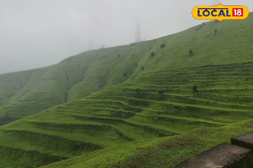 सोलापूर जिल्हात मागील 24 तासात 23 मिलीमीटर पावसाची नोंद झाली. तसेच 31.2 अंश सेल्सिअस कमाल तापमानाची नोंद झाली. पुढील 24 तासात कमाल तापमान 30 अंशावर राहिल. तसेच पुढील 24 तासात सोलापूर जिल्ह्यात विजांसह पावसाचा इशारा देण्यात आला आहे.