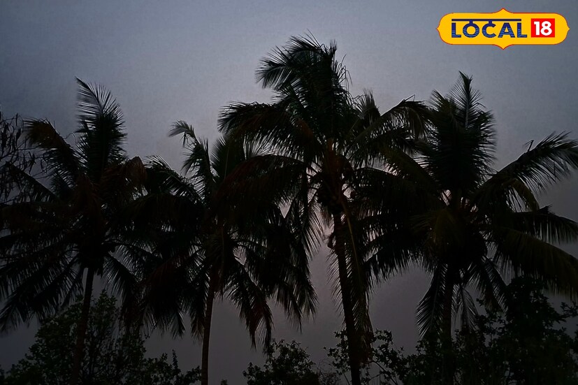 पश्चिम महाराष्ट्रातील हवामानात सातत्याने बदल होत आहेत. आज पुणे, सोलापूर परिसरात पावसाचा जोर राहील. तर कोल्हापूर, सातारा घाटभागात मुसळधार पावसाची शक्यता आहे. या काळात सोसाट्याचा वारा आणि विजांचा कडकडाट होण्याची शक्यता असल्याने नागरिकांना योग्य ती खबरदारी घ्यावी लागेल. 