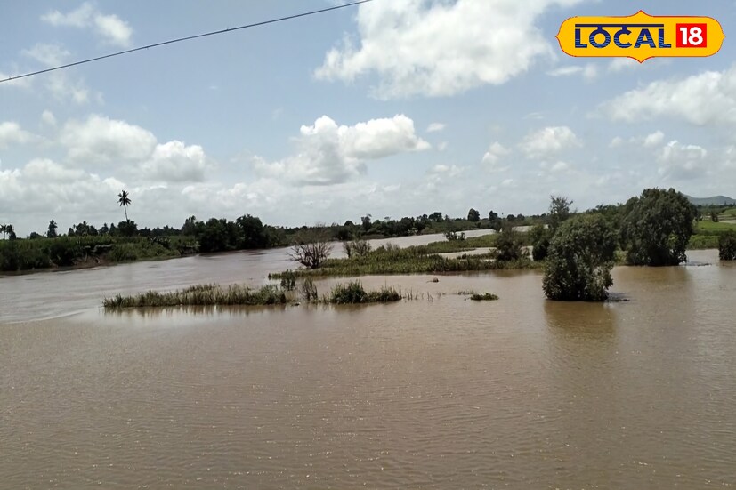 सातारा परिसरात मागील 24 तासांत 45 मिलिमीटर पावसाची नोंद झाली. कोयना धरण परिसरामध्ये पावसाची  संततधार सुरुच आहे. पाणी पातळी नियंत्रित धरणाचे सहा वक्र दरवाजे बारा फुटांपर्यंत उघडले आहेत. कोयना धरणातून सध्या 95300 क्युसेक पाण्याचा विसर्ग सुरू आहे. पुढील 24 तासात सातारा घाटमाथ्यावर जोरदार पावसाचा यलो अलर्ट देण्यात आला आहे. यामुळे पाणी पातळीत अनखी वाढ होणार असून नदीकाठच्या नागरिकांनी सतर्क राहण्याचा इशारा देण्यात आला आहे.