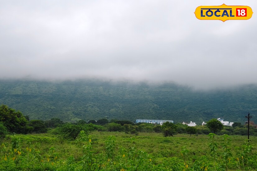 छत्रपती संभाजीनगरसह आठही जिल्ह्यांना हवामान विभागाने आज कुठलाही 'सतर्कतेचा अलर्ट' दिलेला नाही. त्यामुळे आज 22 ऑगस्ट रोजी छत्रपती संभाजीनगरमध्ये साधारणपणे ढगाळ वातावरण राहणार असून हलका पाऊस होण्याची शक्यता आहे. यावेळी कमाल तापमान 29 अंश सेल्सिअस तर किमान तापमान 22 अंश सेल्सिअस एवढे असेल. 