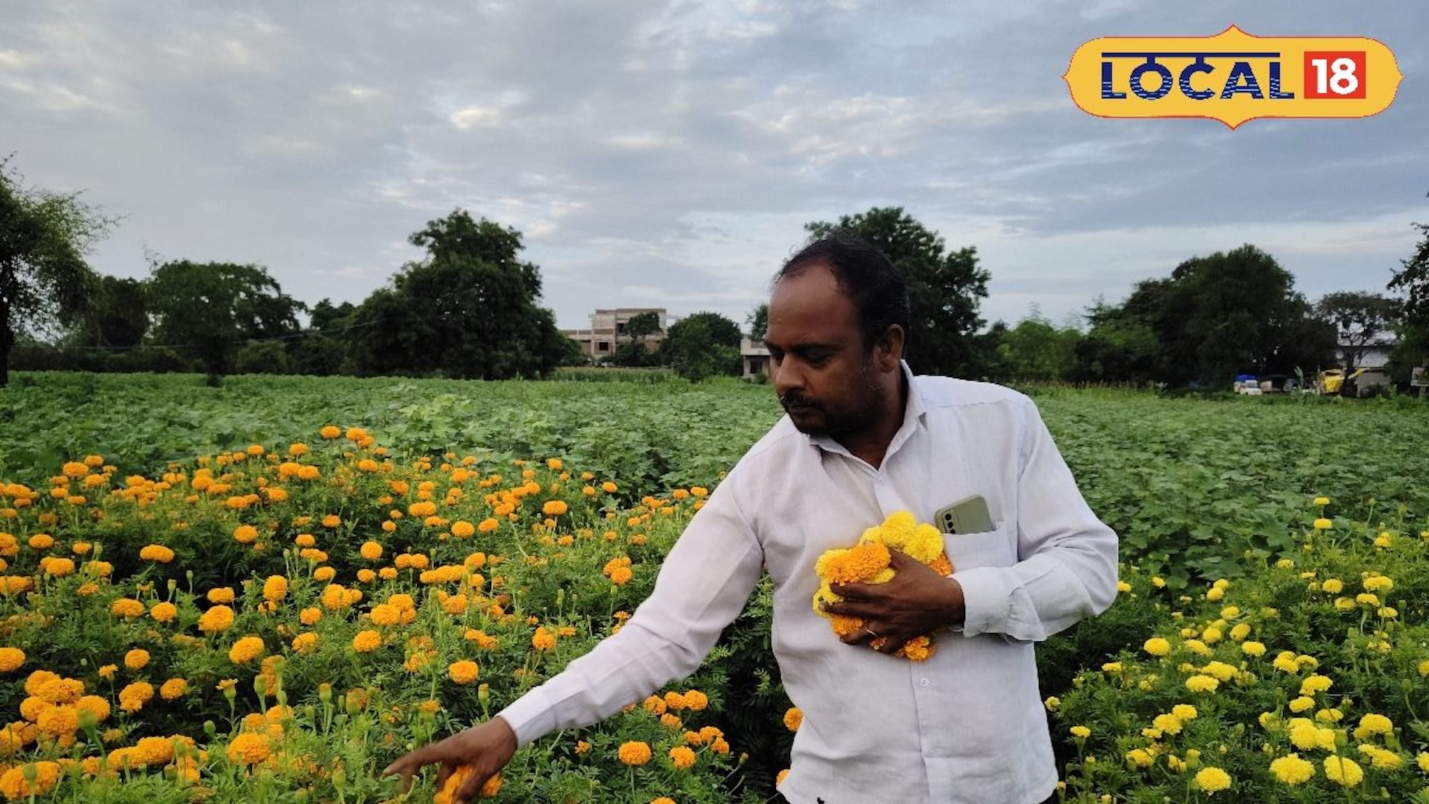 Farmer Success Story: 20 गुंठे शेतीतून मिळालं 150000 रुपये उत्पन्न, शेतकऱ्याने सांगितला यशाचा फॉर्म्युला