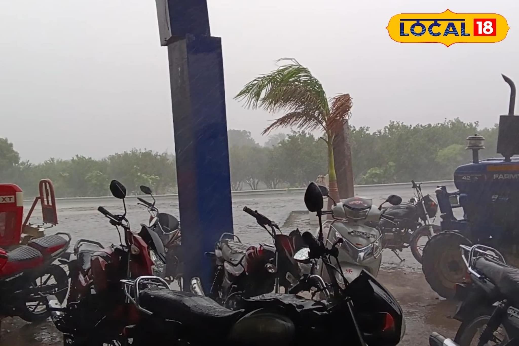 महाराष्ट्रात वारं फिरलं, 25 ऑगस्टला धो धो पाऊस, 11 जिल्ह्यांना अलर्ट